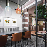 Suspension Luminaire Phenomena Moderne