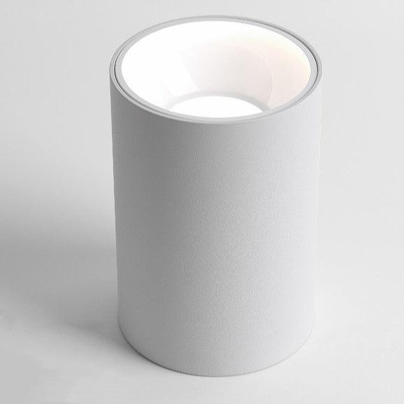 Plafonnier Cylindre Spot
