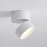 Plafonnier de surface Spot