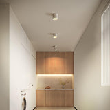 Plafonnier de surface Spot