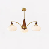 Lustre Vintage Stradivarius
